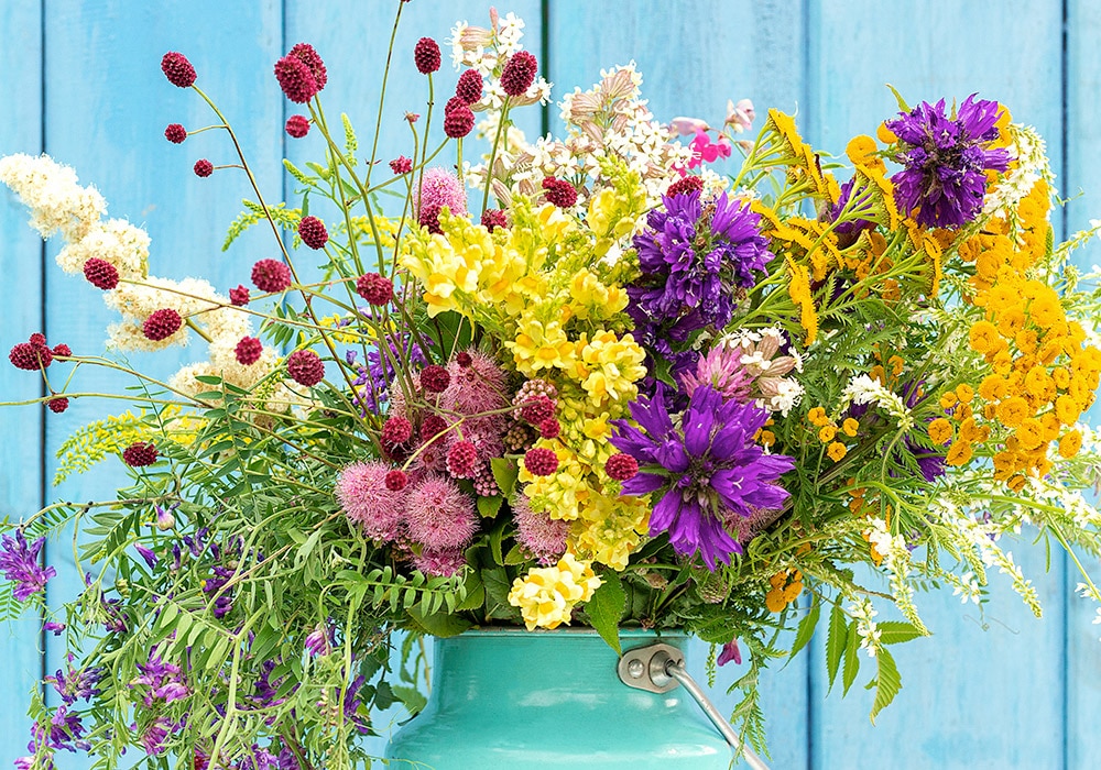 Philadelphia Florist - Same-day Flower Delivery - Robertson's Flowers