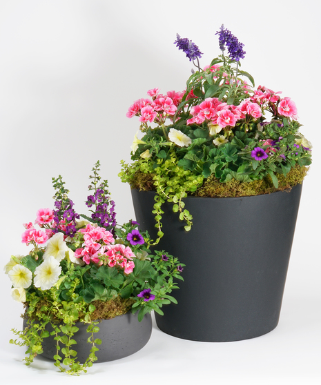 Spring Patio Pot Collection in black ceramic patio pots