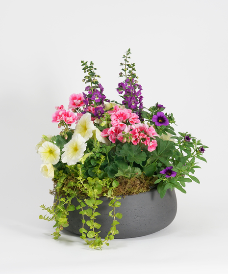 Spring Patio Pot Collection in black ceramic patio pots