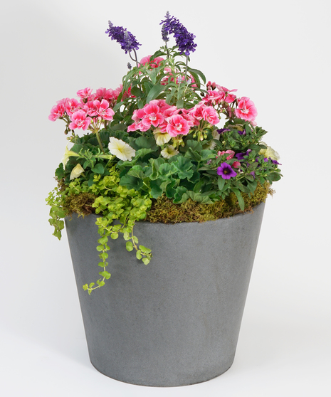 Spring Patio Pot Collection in black ceramic patio pots