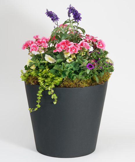 Spring Patio Pot Collection in black ceramic patio pots